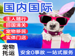 南昌航空运输国际宠物托运 【国